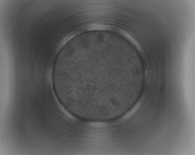 X0000112161033200908141230