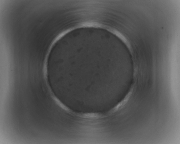 X0000112161037200908141230