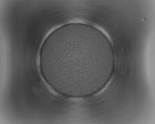 X0000112161040200908141230