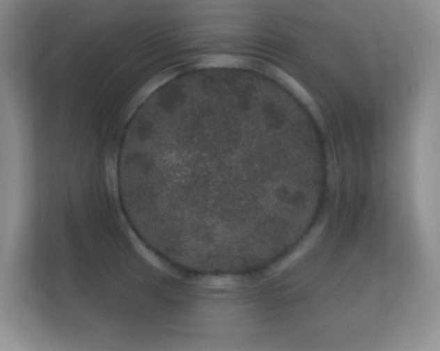 X0000112161041200908141230
