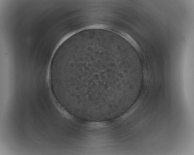 X0000112161044200908141230