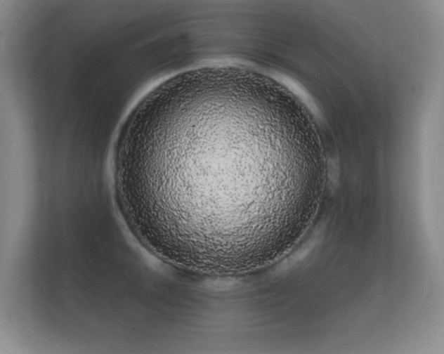 X0000112161046200908141230