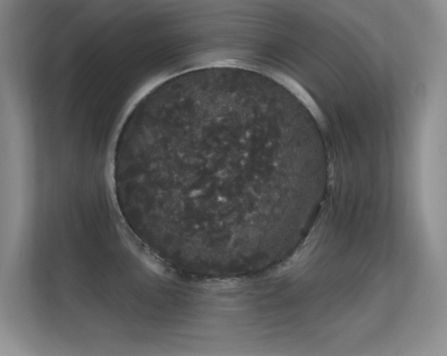 X0000112161051200908141230