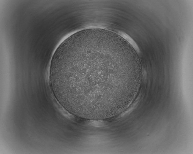X0000112161052200908141230