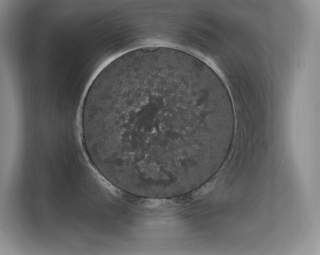 X0000112161056200908141231