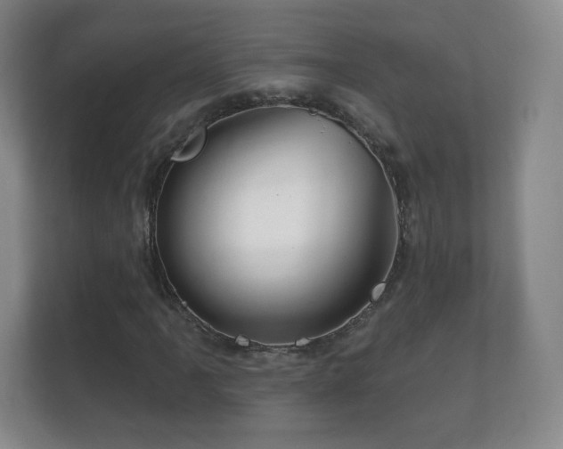X0000112161061200908141230
