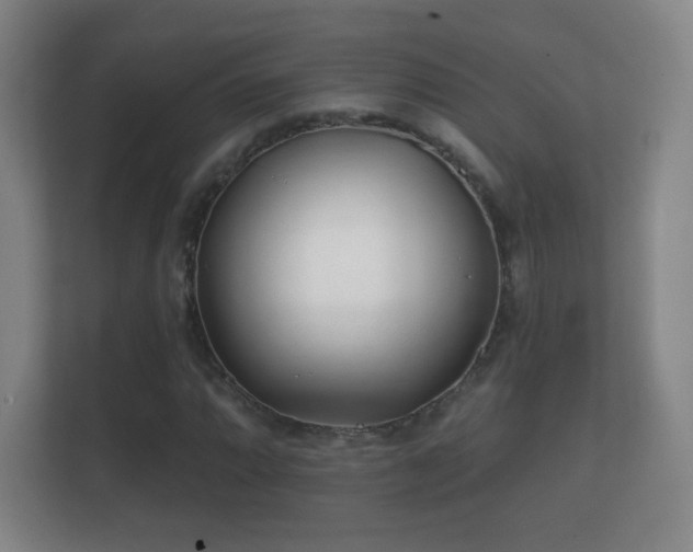 X0000112161064200908141230