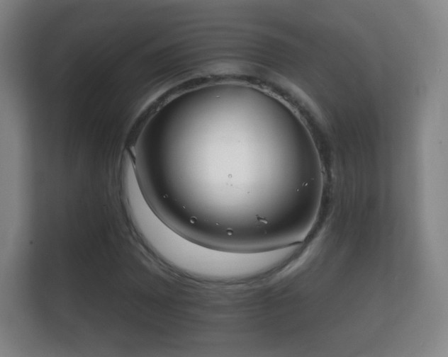 X0000112161065200908141230
