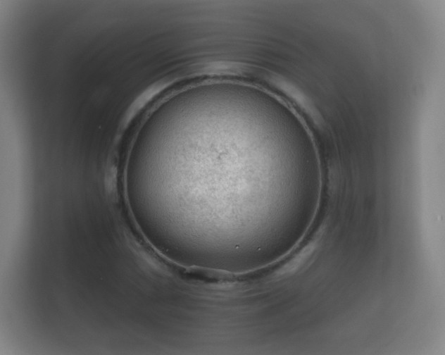 X0000112161066200908141230