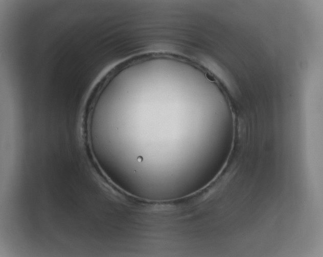X0000112161068200908141230