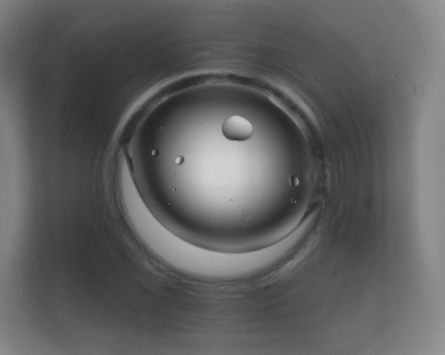 X0000112161069200908141230