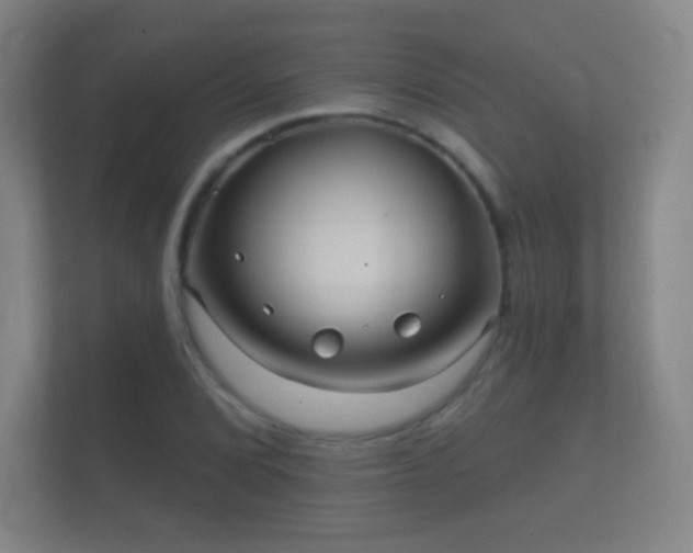 X0000112161072200908141230