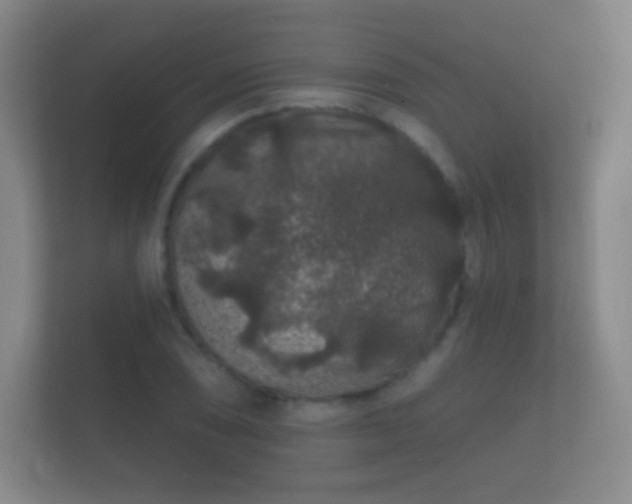 X0000112161074200908141230