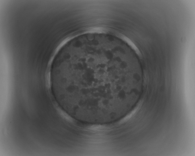 X0000112161075200908141230