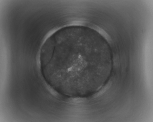 X0000112161077200908141230