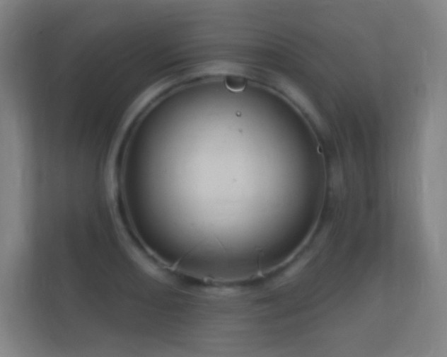 X0000112161082200908141230