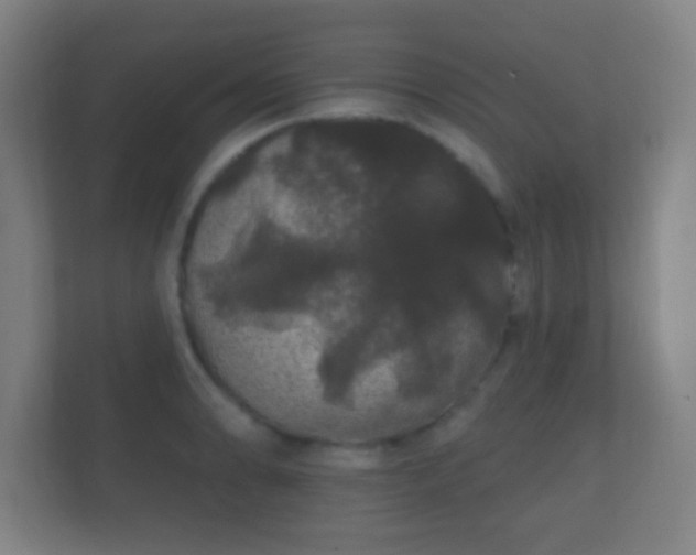 X0000112161086200908141230