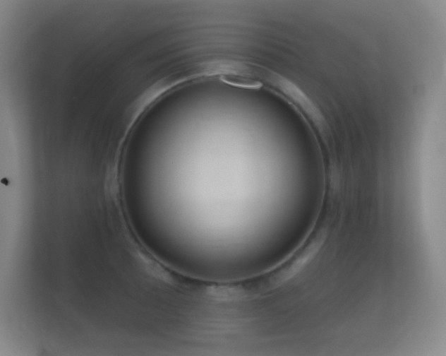 X0000112161089200908141229