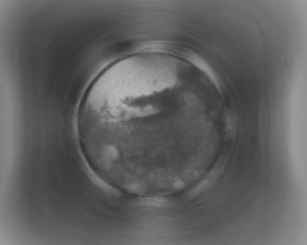 X0000112161090200908141229
