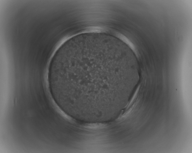 X0000112161091200908141229