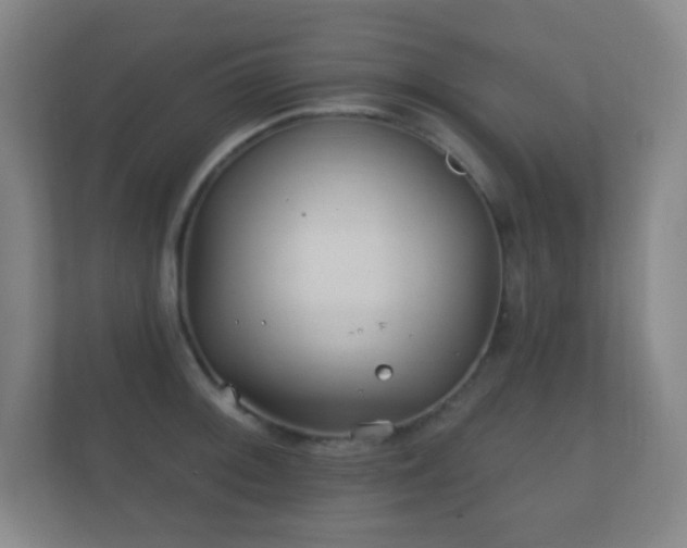 X0000112161092200908141229