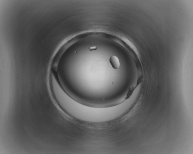 X0000112161093200908141229
