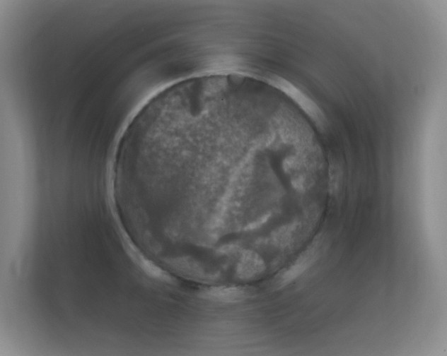 X0000112161094200908141229