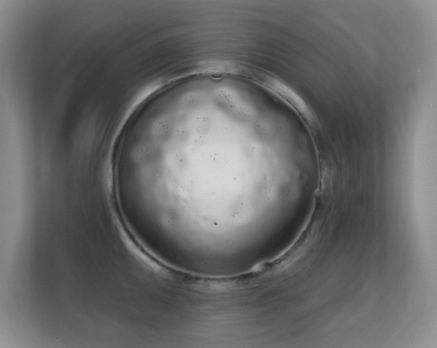 X0000112161095200908141229
