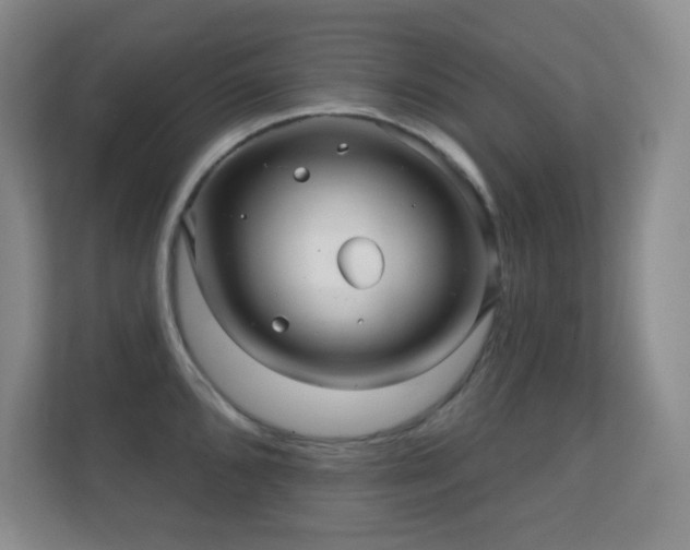 X0000112161096200908141229