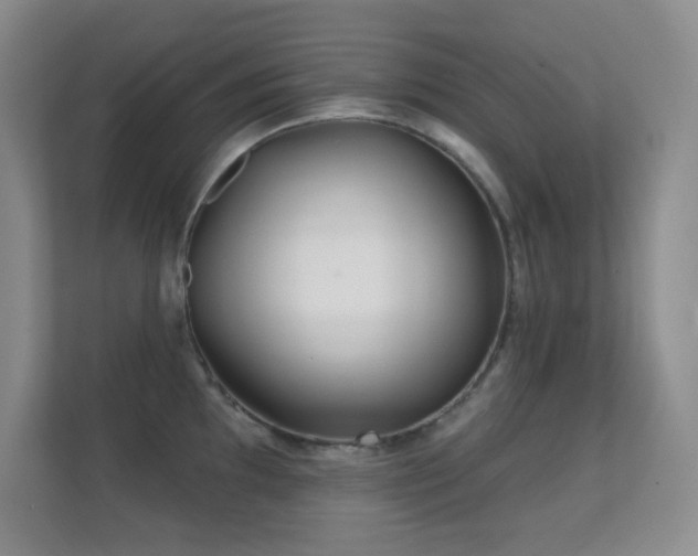 X0000112161097200908141229