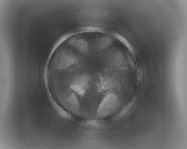 X0000112161098200908141229