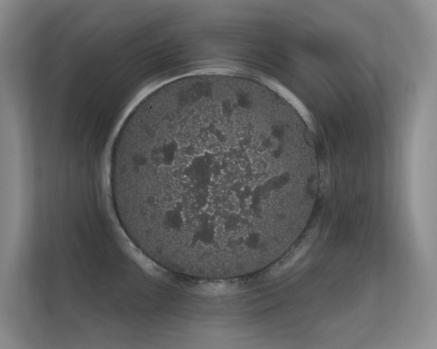 X0000112161099200908141229