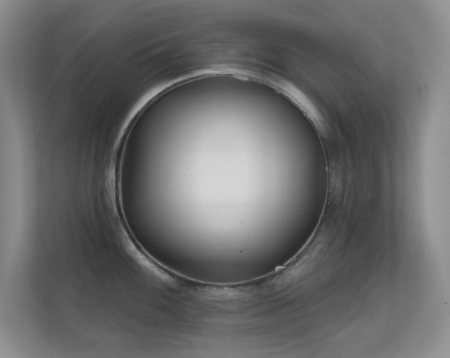 X0000112161100200908141229