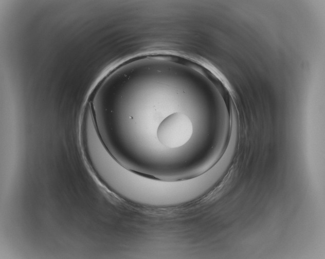 X0000112161101200908141229