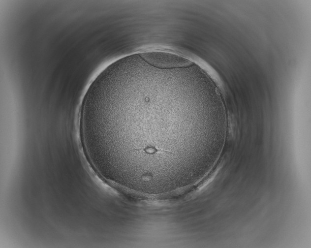 X0000112161102200908141229