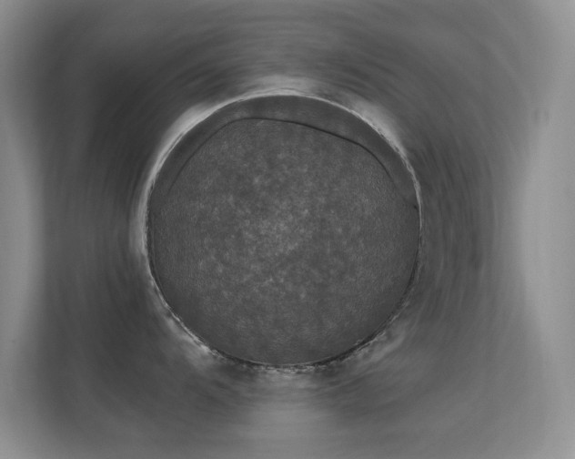 X0000112161104200908141229