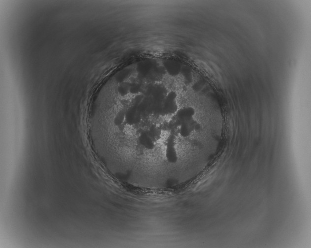 X0000112161105200908141229