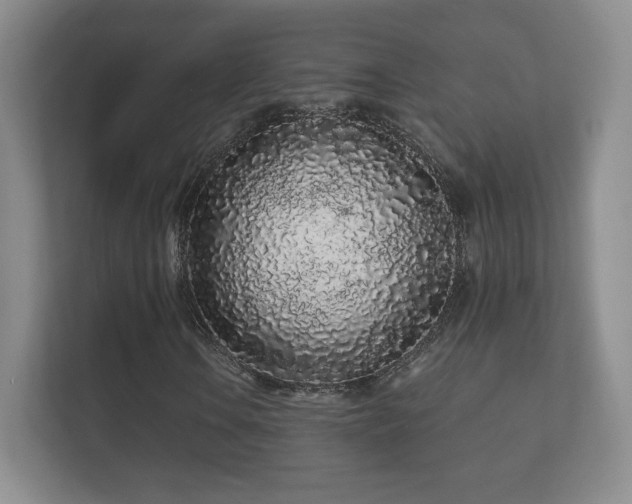 X0000112161106200908141229