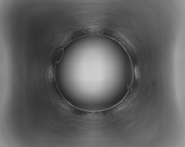 X0000112161107200908141229