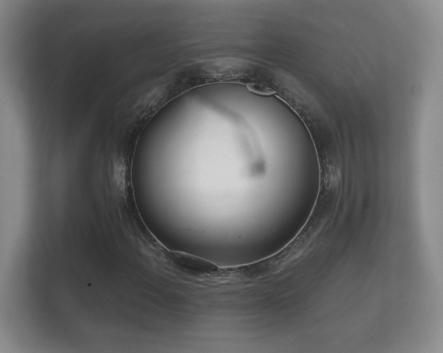 X0000112161108200908141229