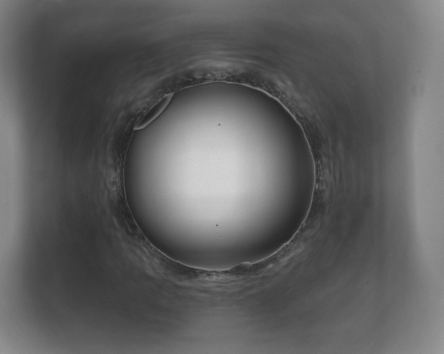 X0000112161109200908141229