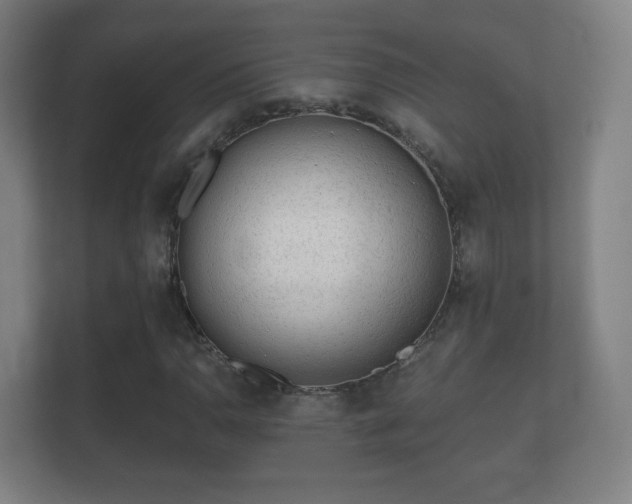 X0000112161110200908141229