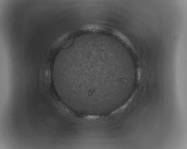 X0000112161111200908141229