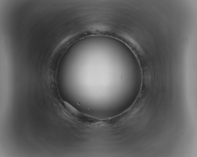 X0000112161112200908141229