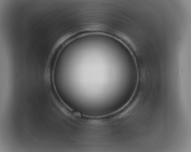 X0000112161114200908141229