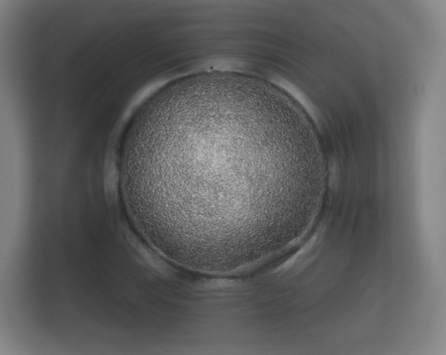 X0000112161115200908141229