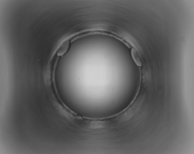 X0000112161116200908141229