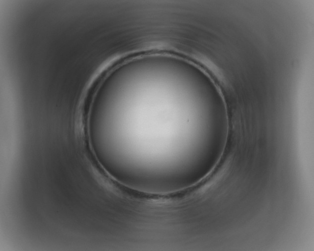 X0000112161118200908141229
