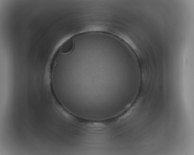 X0000112161119200908141229