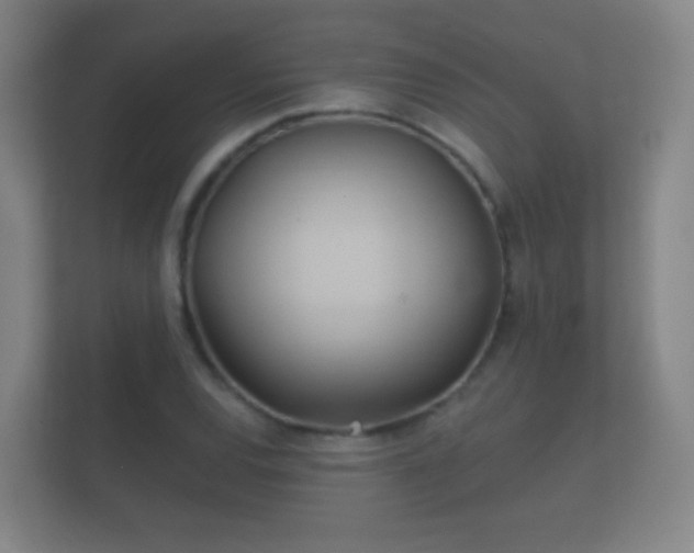 X0000112161120200908141229